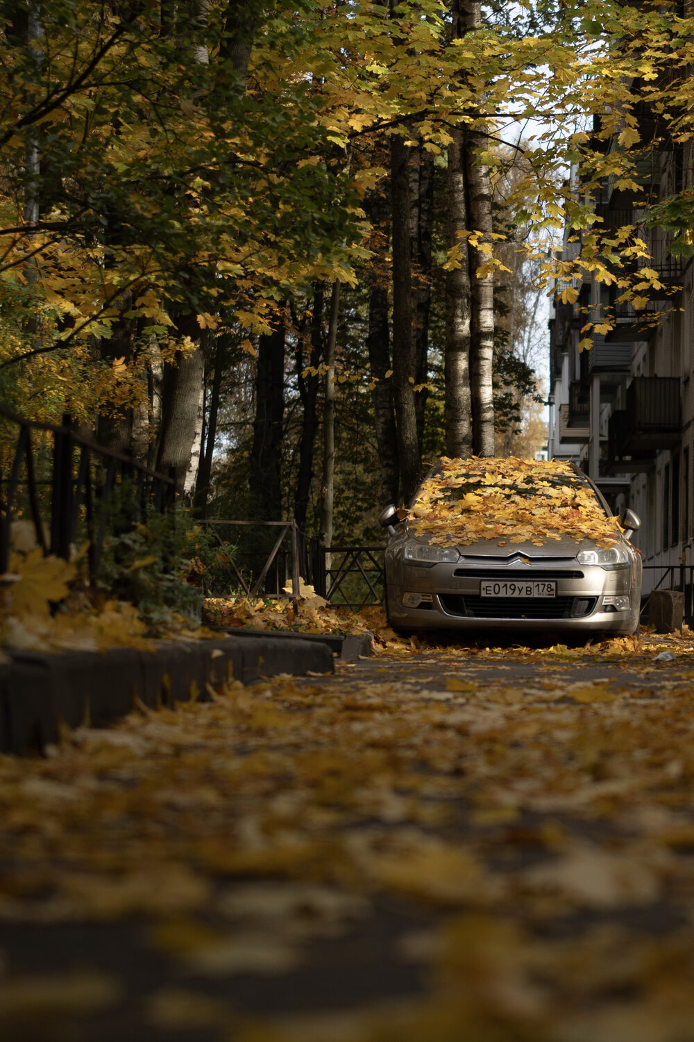 Photo #14227026
