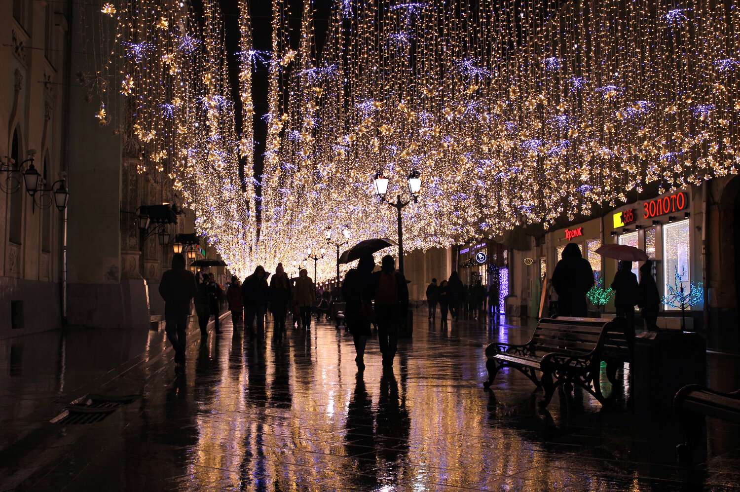 Photo #14227217