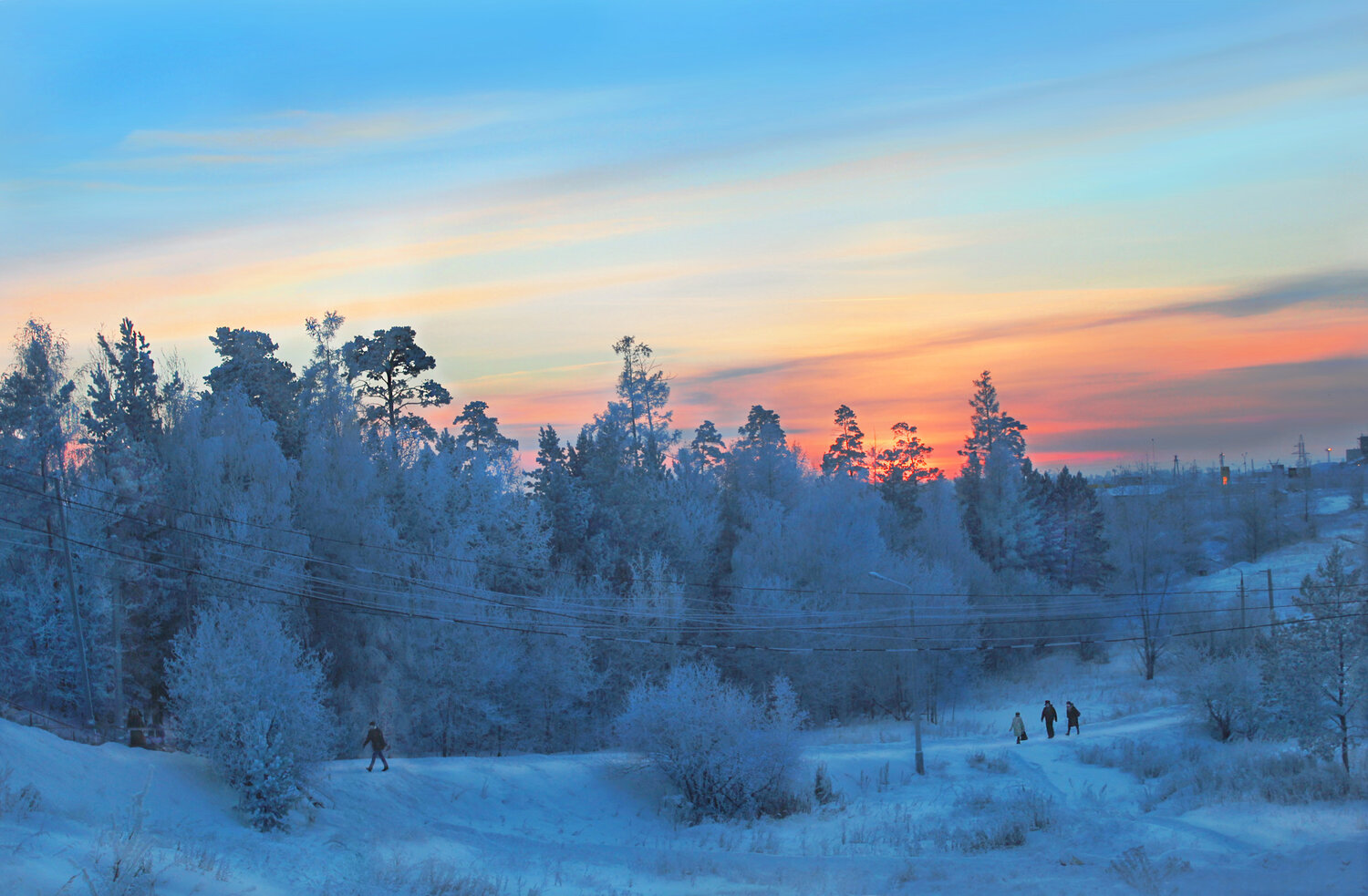 Photo #14227222