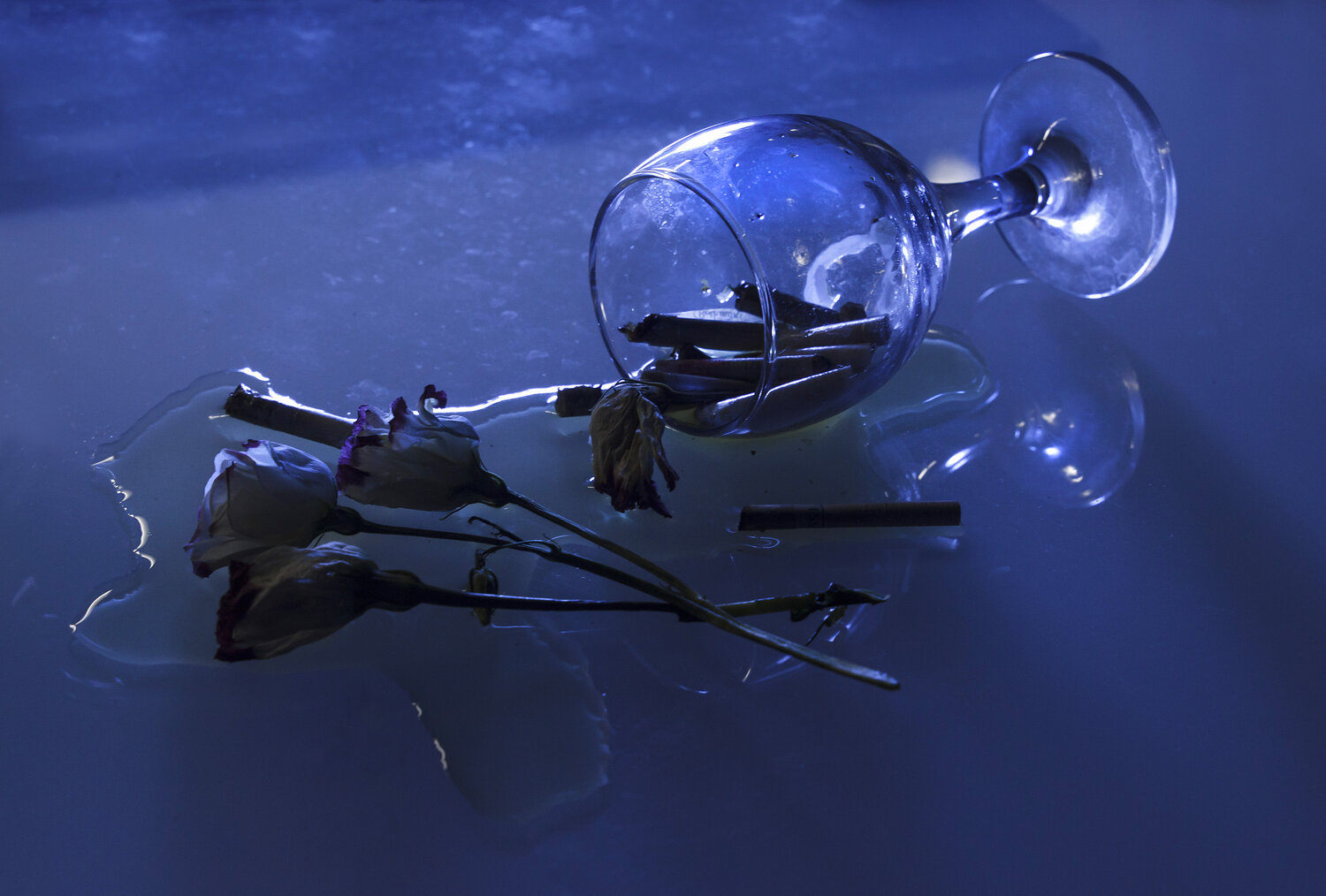 Photo #14227225