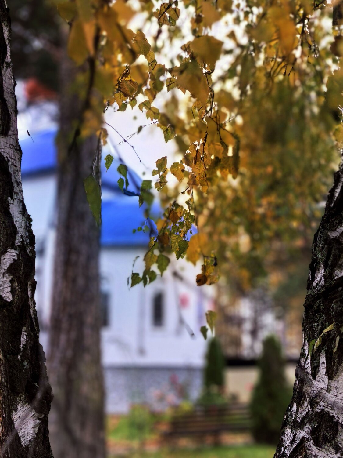 Photo #14227270