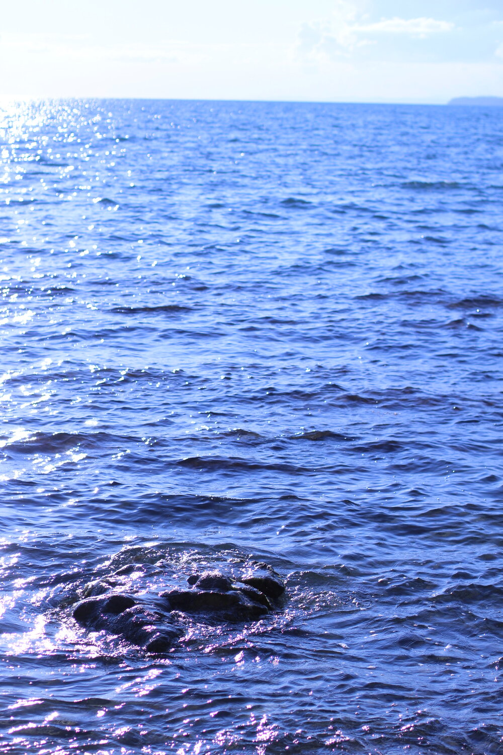 Photo #14227428