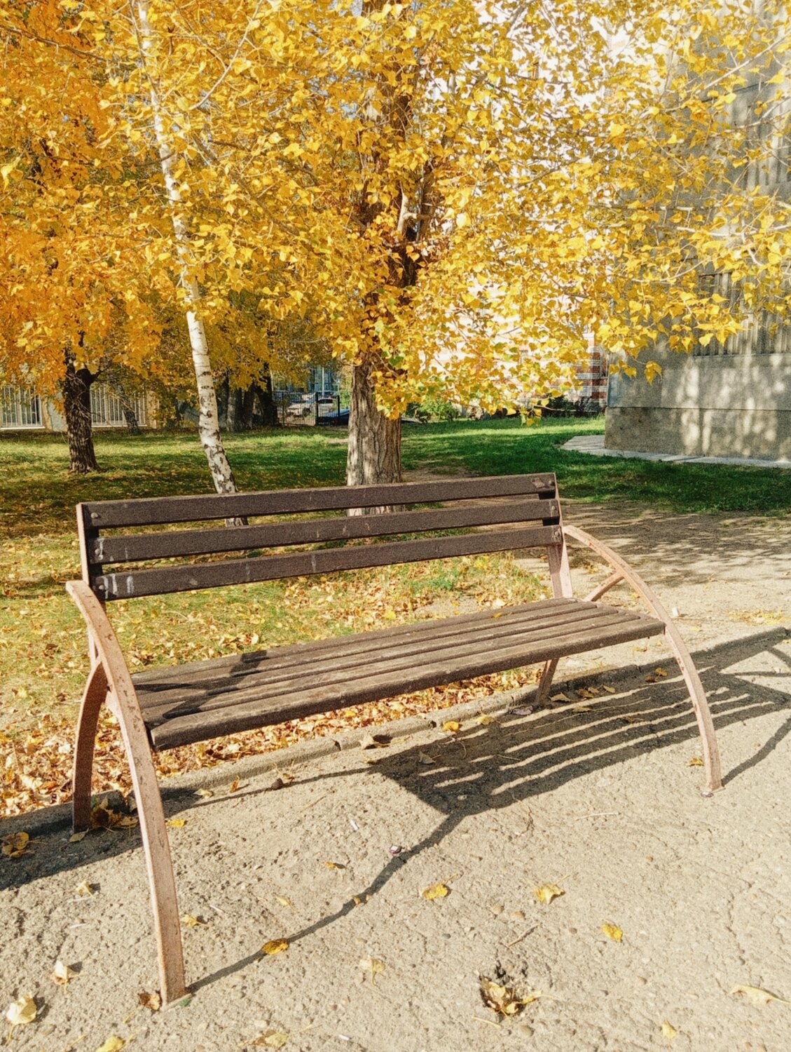 Photo #14227467