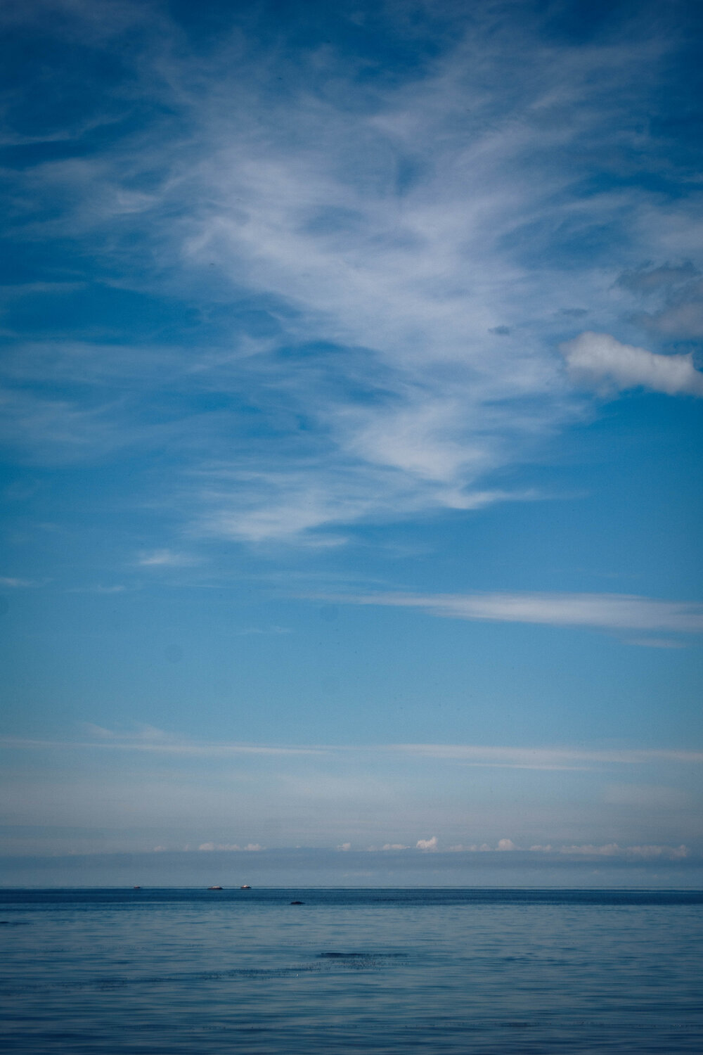 Photo #14227548