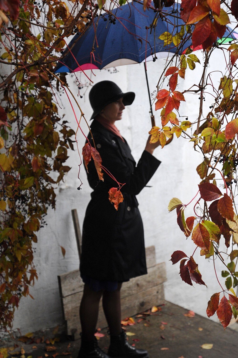 Photo #14227606