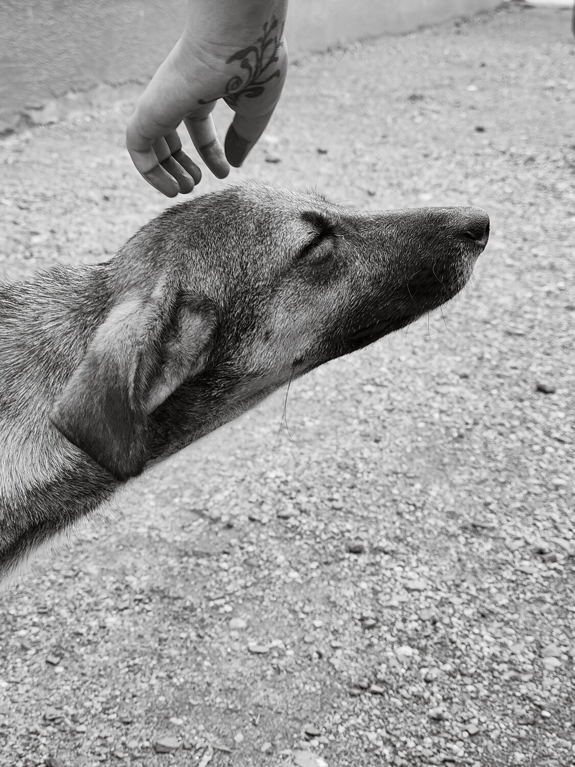 A Moment of Unspoken Trust