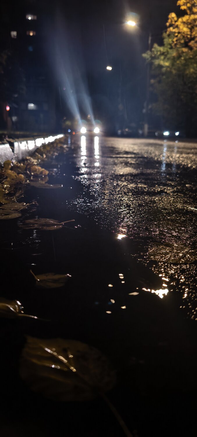 Photo #14228043