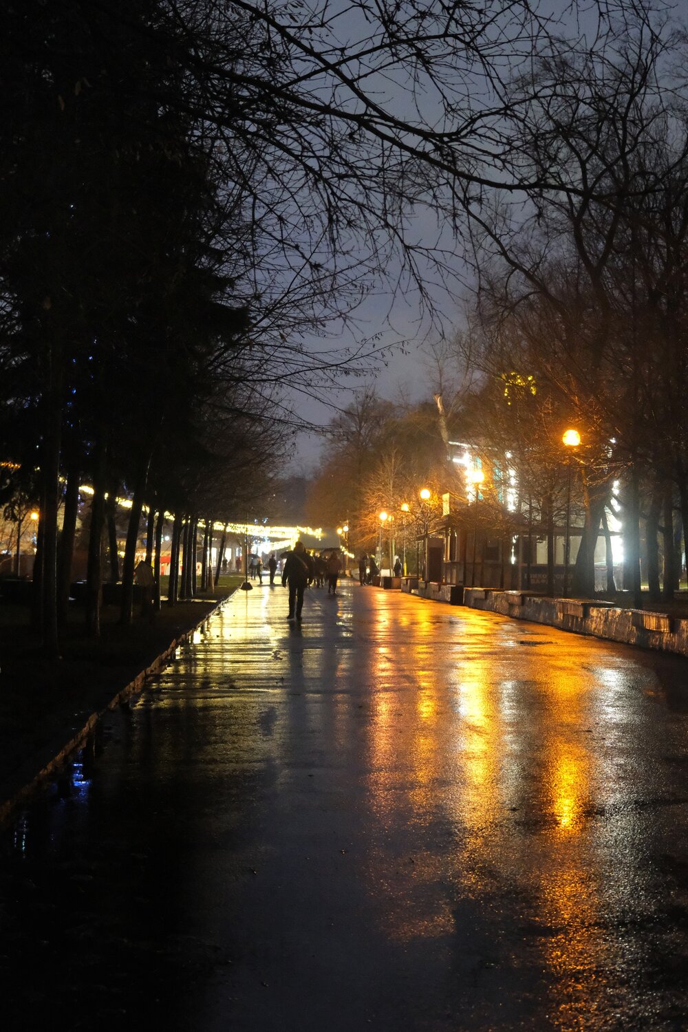 Photo #14228170