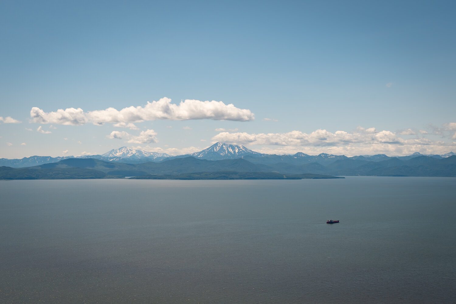 Photo #14228209
