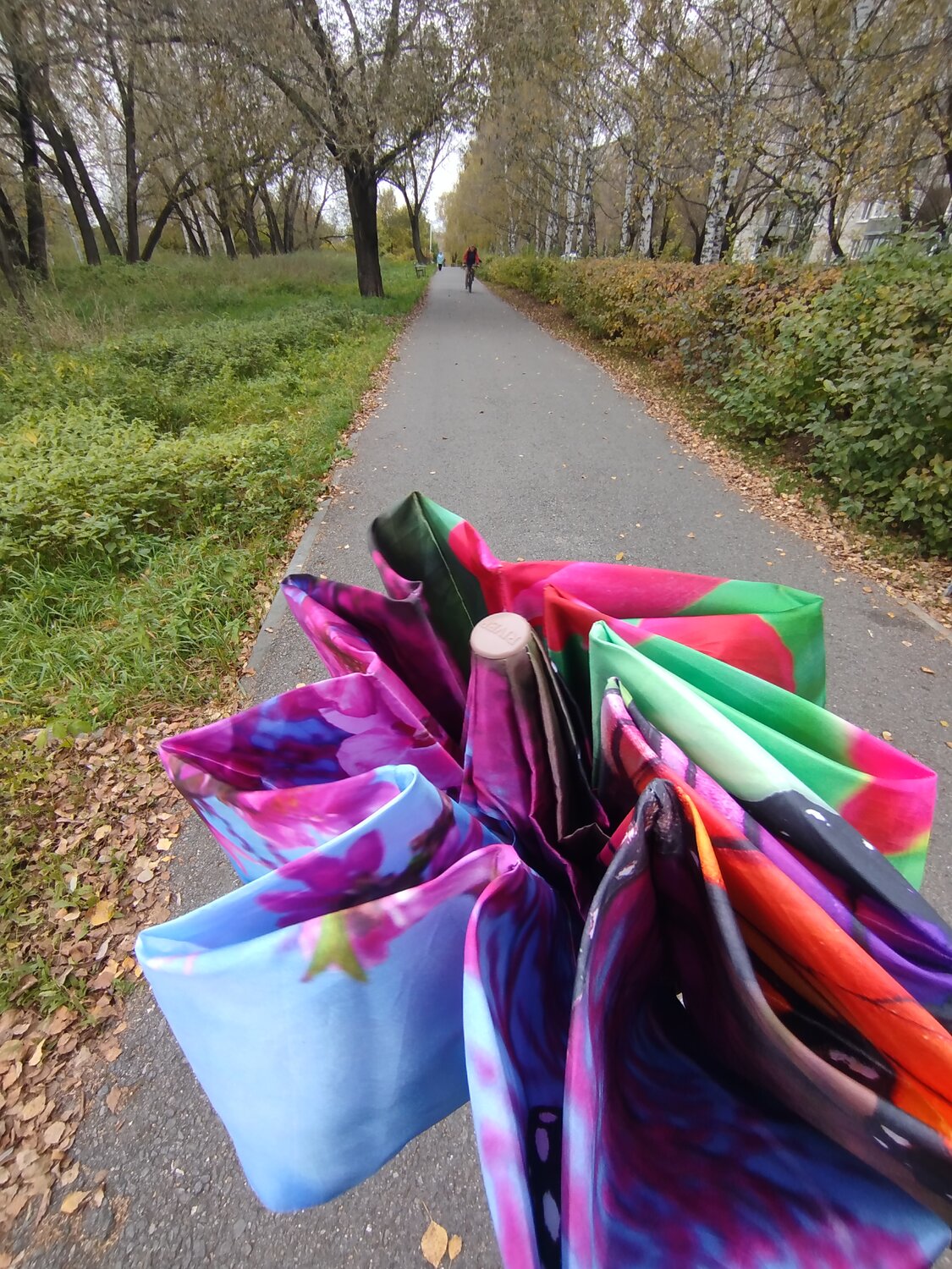 Photo #14228249