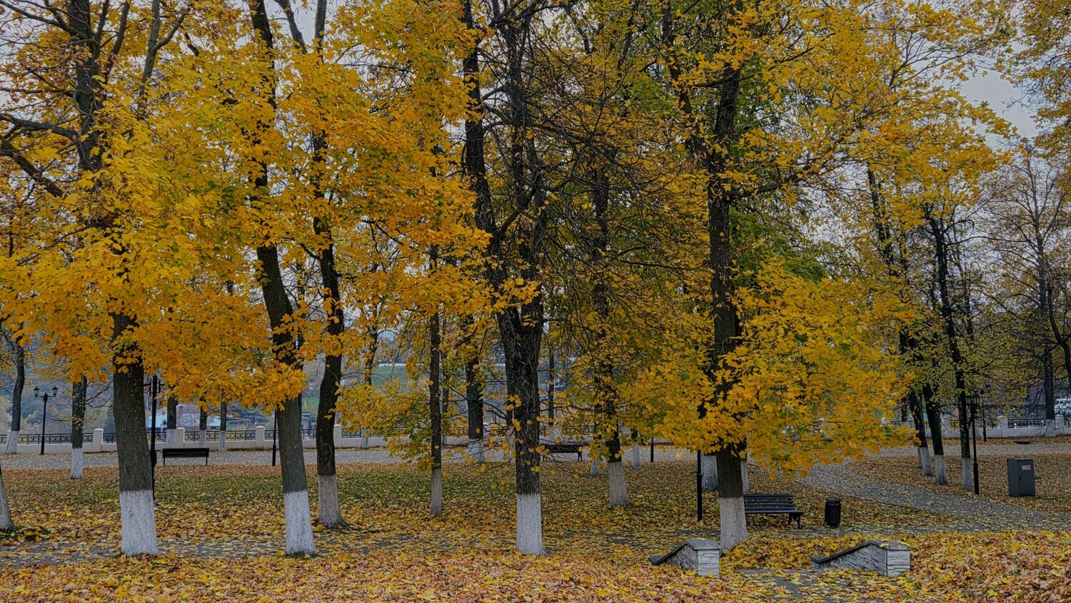 Photo #14228271