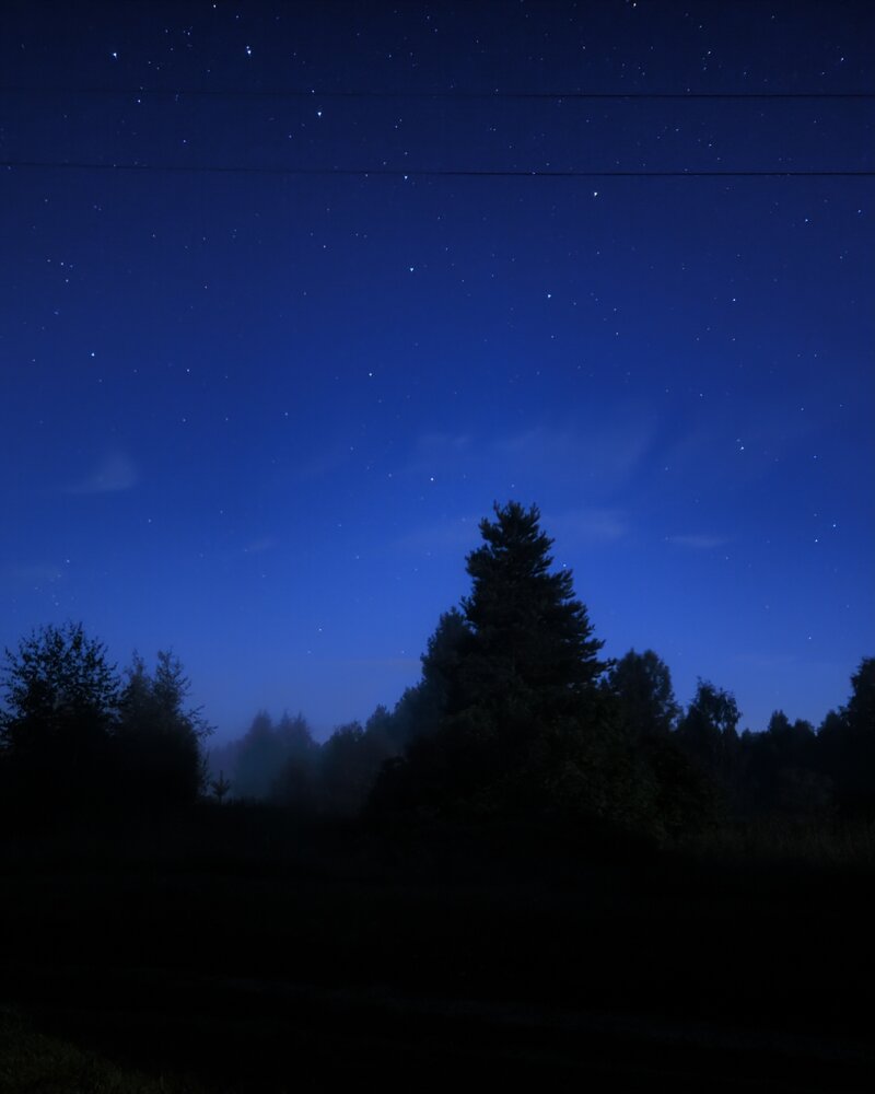 Photograph by Татьяна Дурасова
