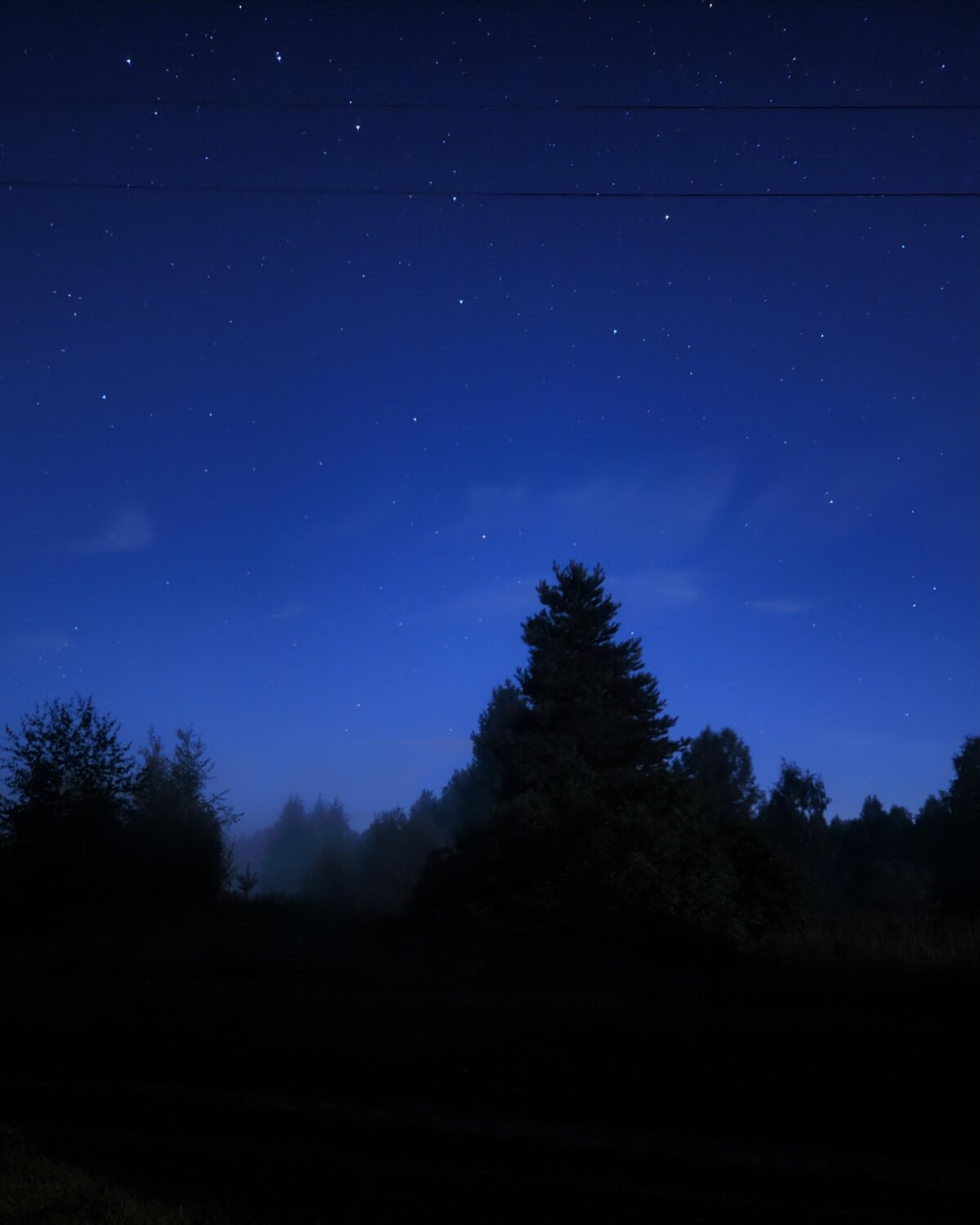 Photo #14228300
