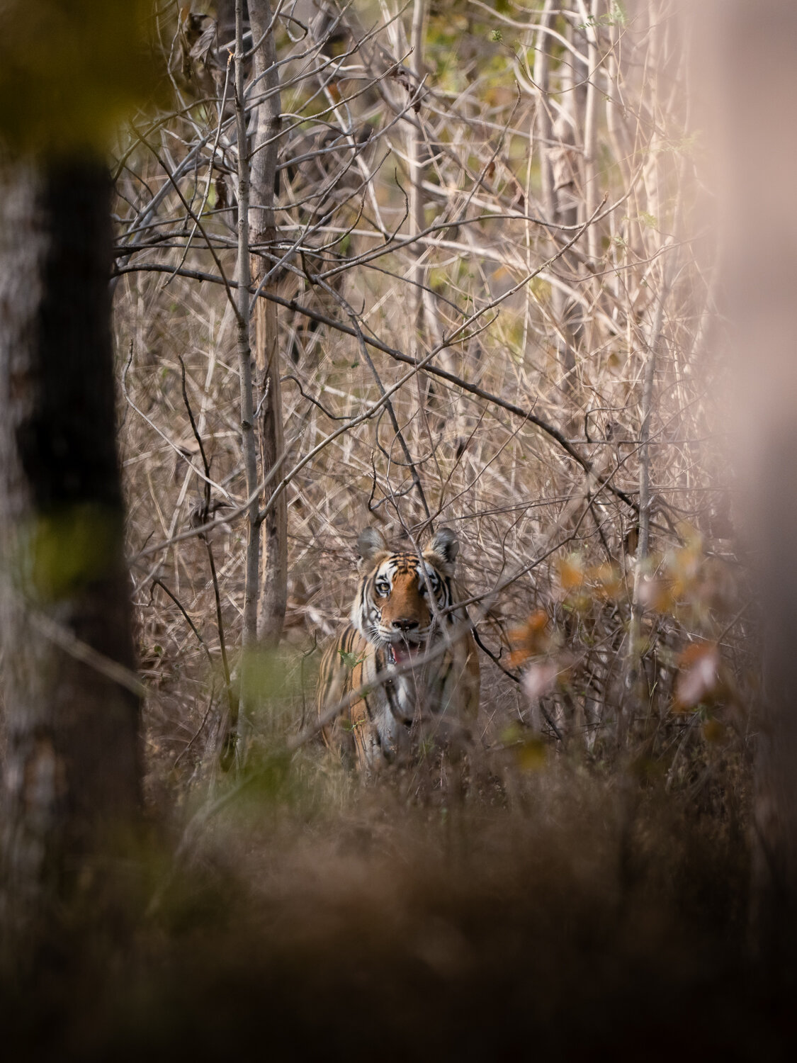 Photo #14228335