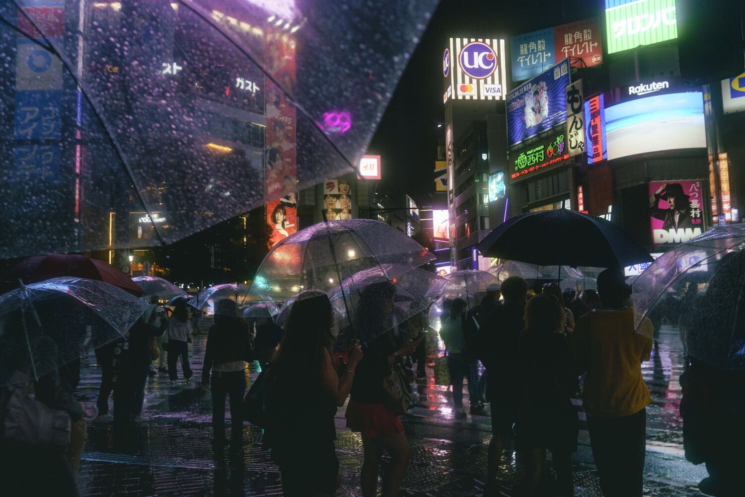 Photo #14228342