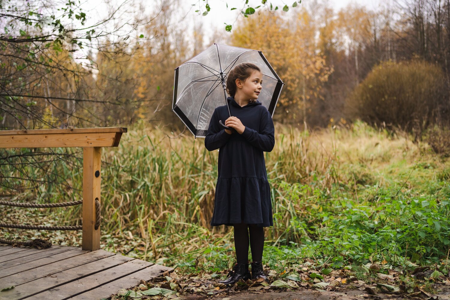 Photo #14228443