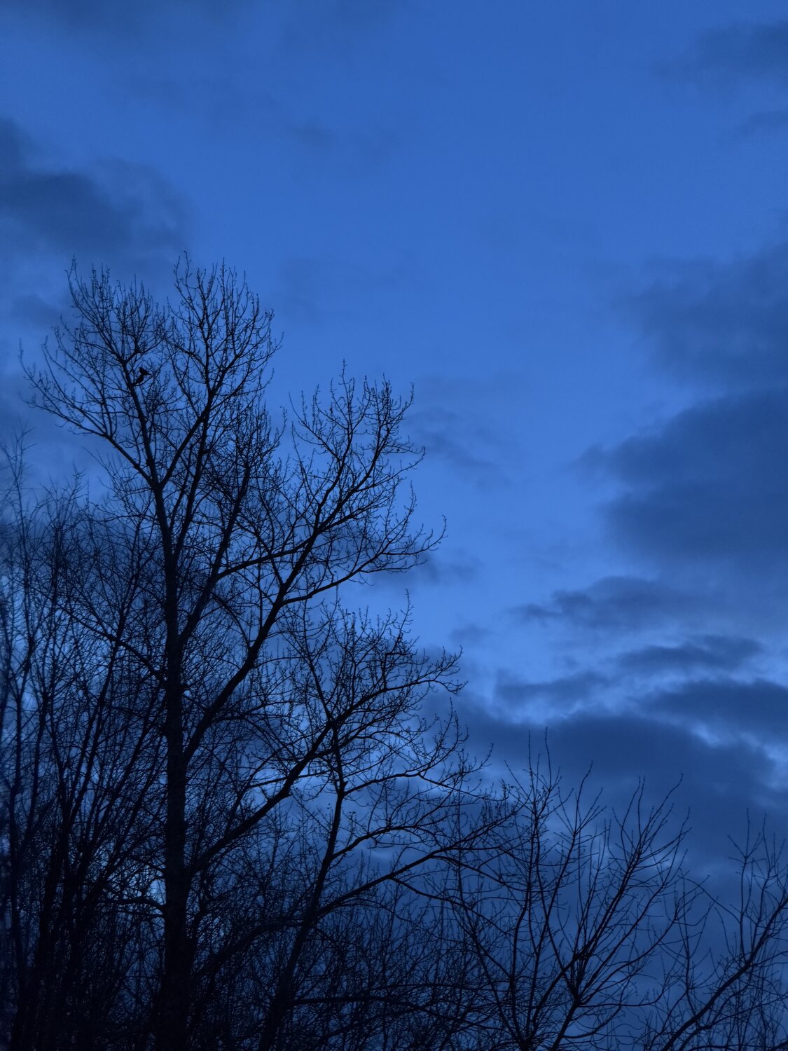 Photo #14228512