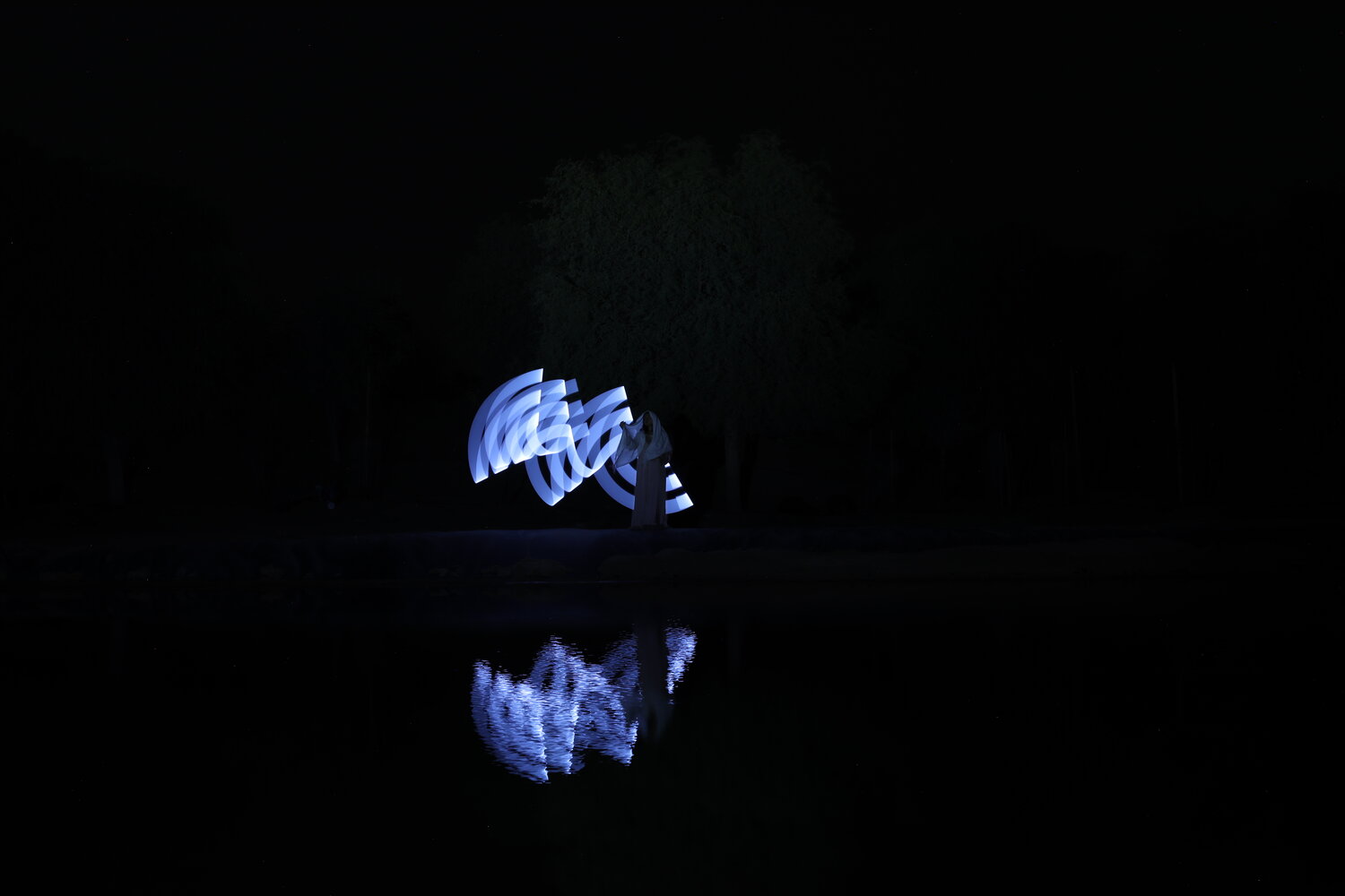 Photo #14228521
