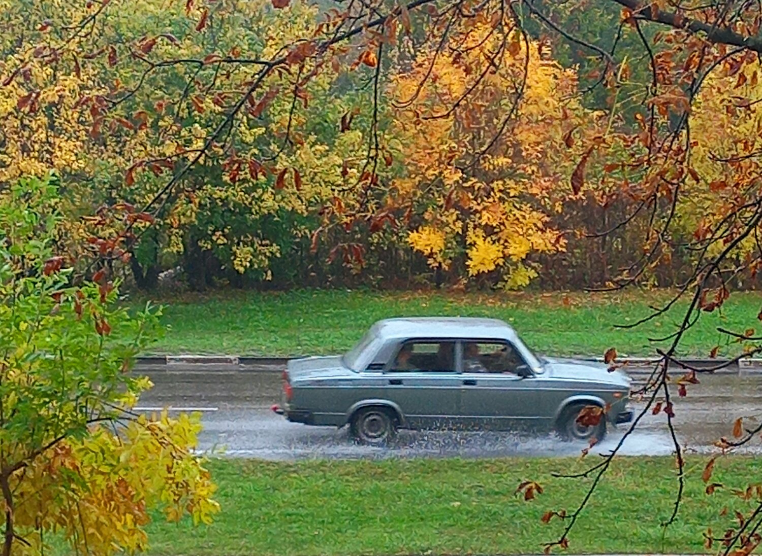 Photo #14228796