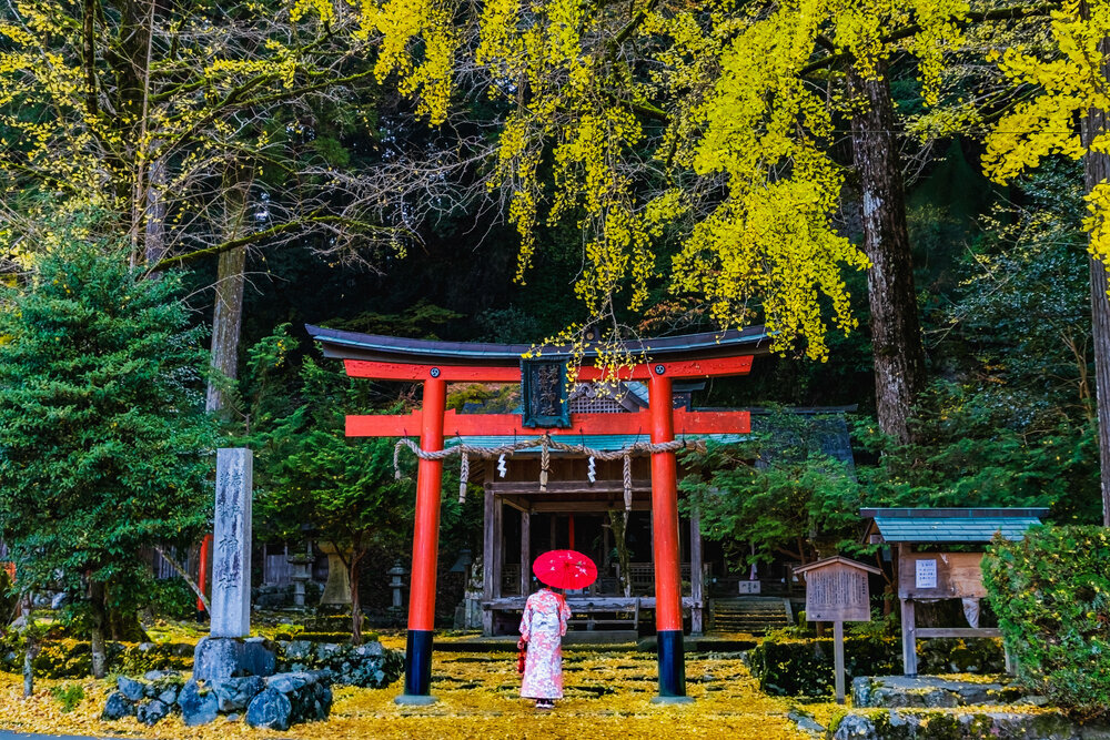 Photograph by QUAN NGUYEN HUNG