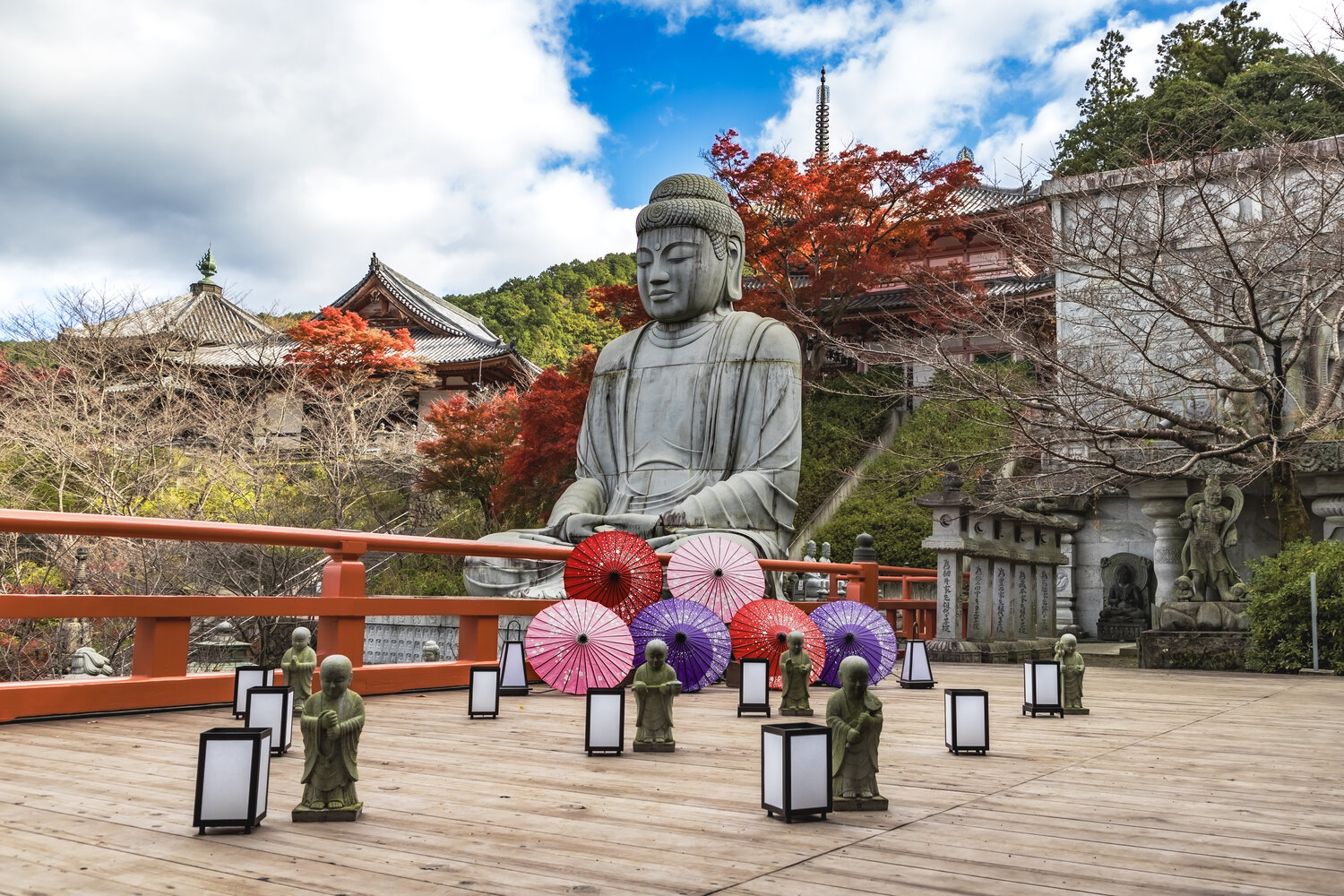 Фотография #14229176