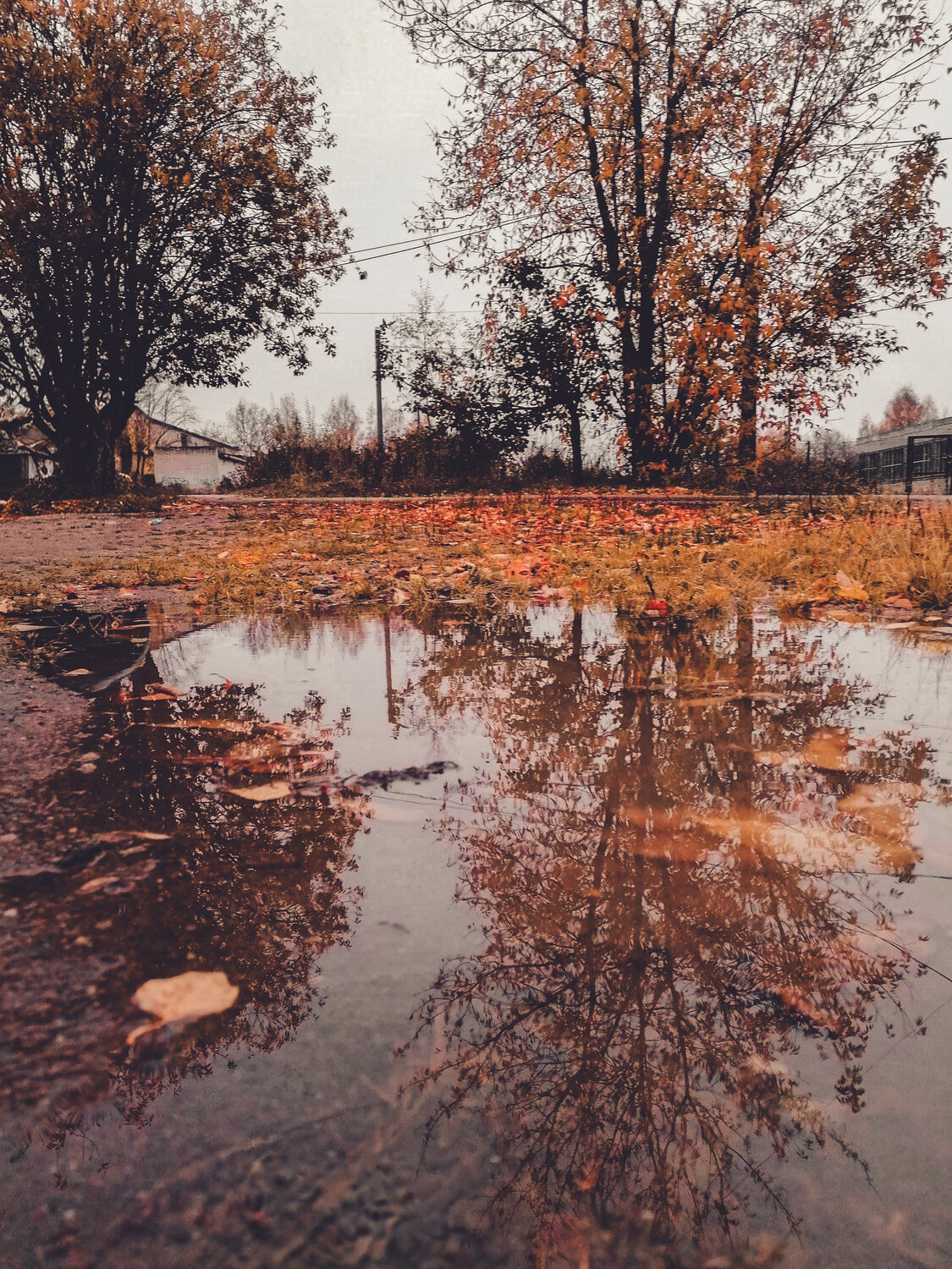 Photo #14229827