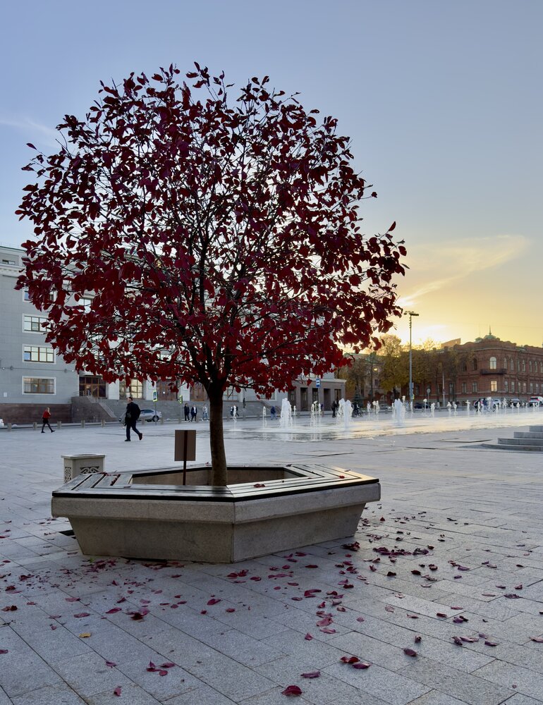 Осень на площади фонтанов/Autumn on the Fountain Square