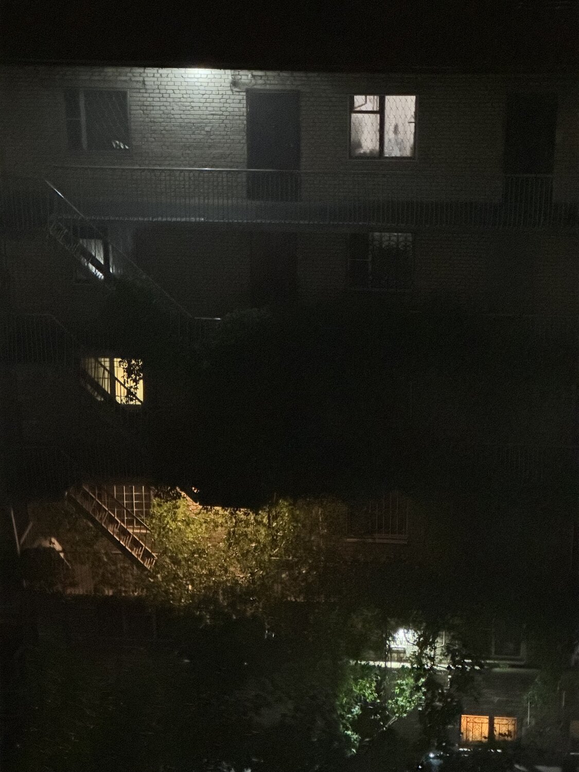 Photo #14230105