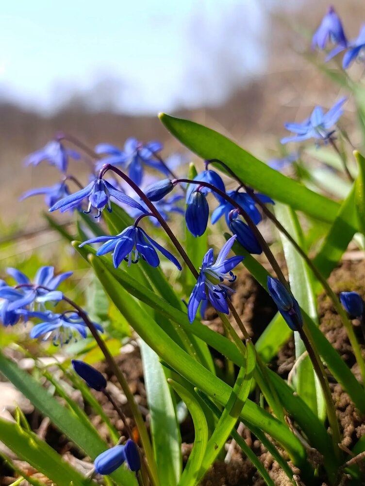 Photograph by Юлия Некрасова