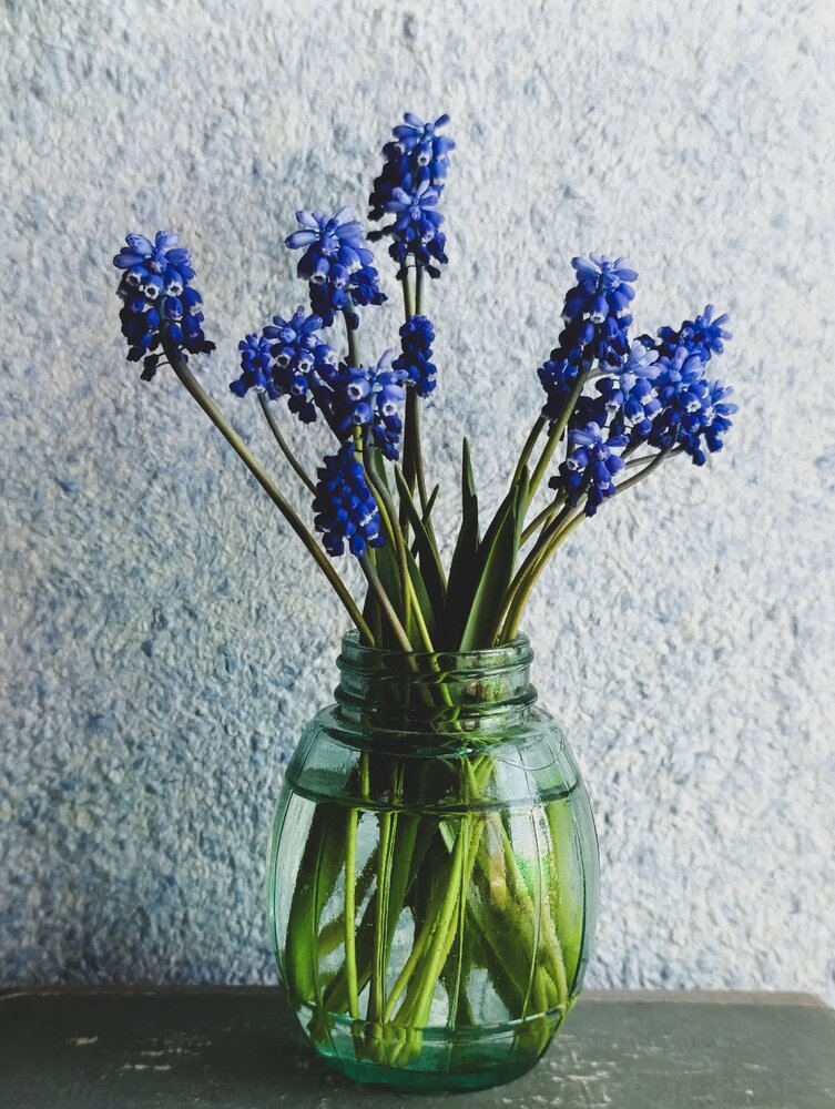 Photograph by Юлия Некрасова