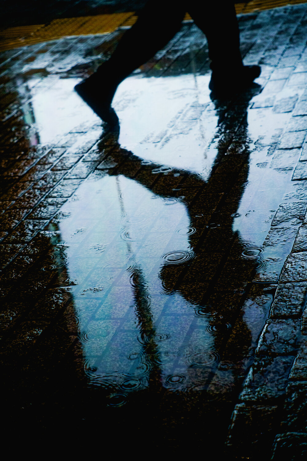 Photo #14230346