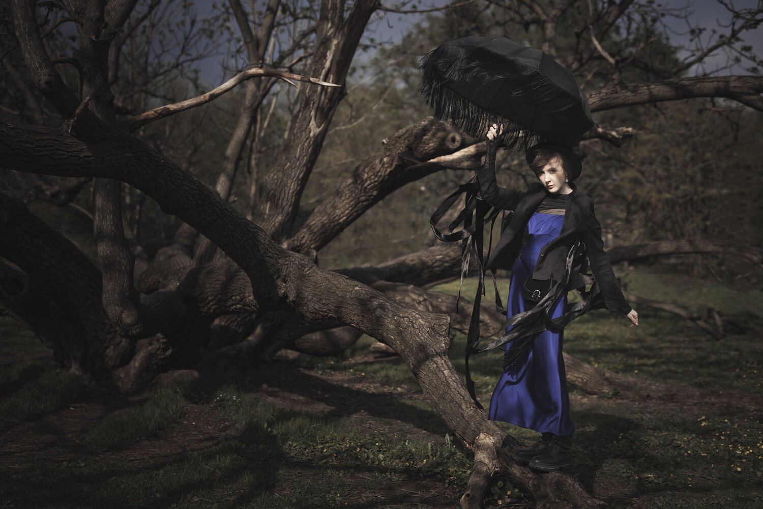 Photo #14230412