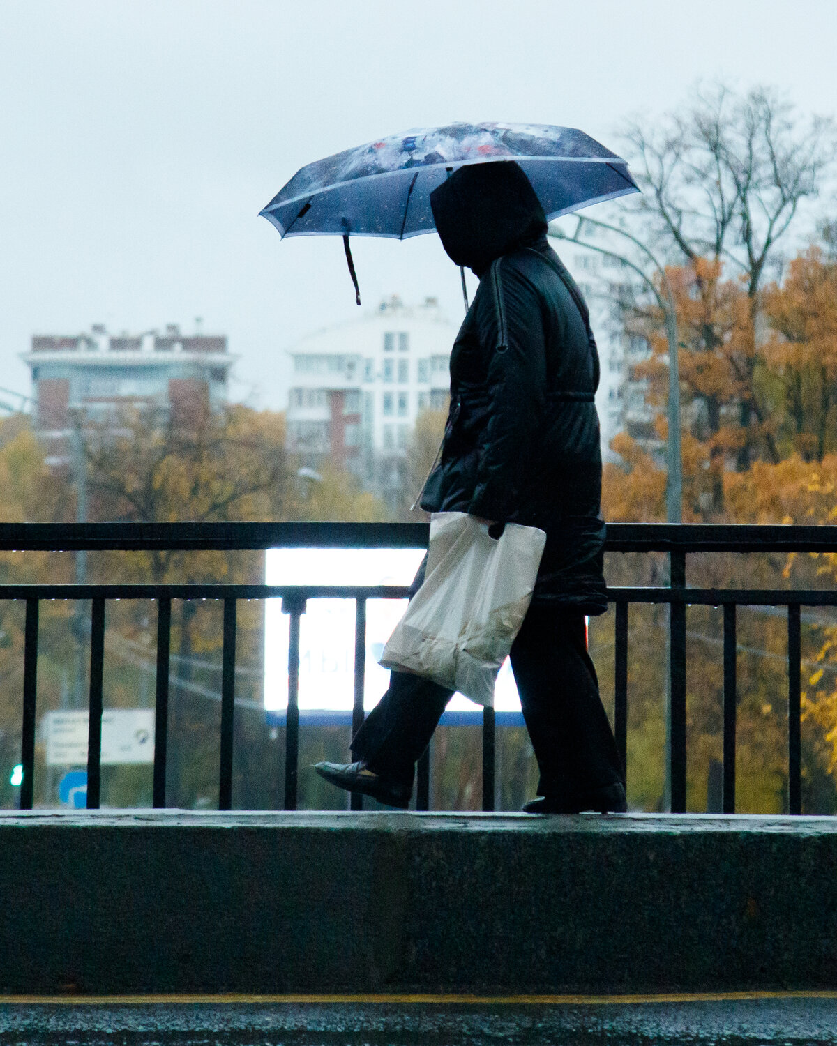 Photo #14230535