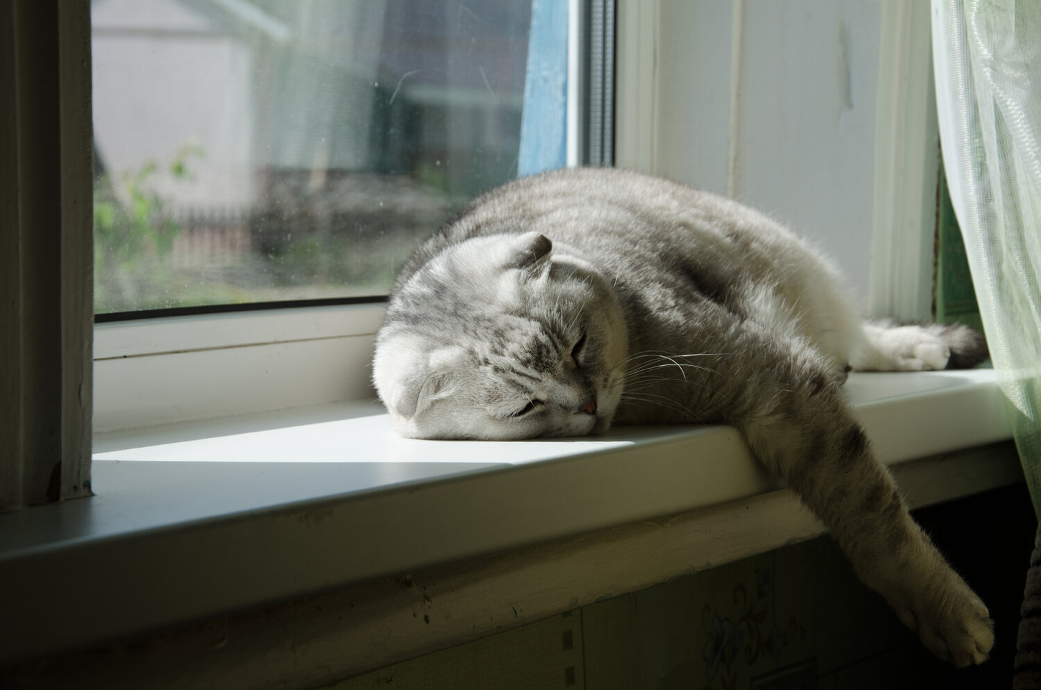Photo #14230768