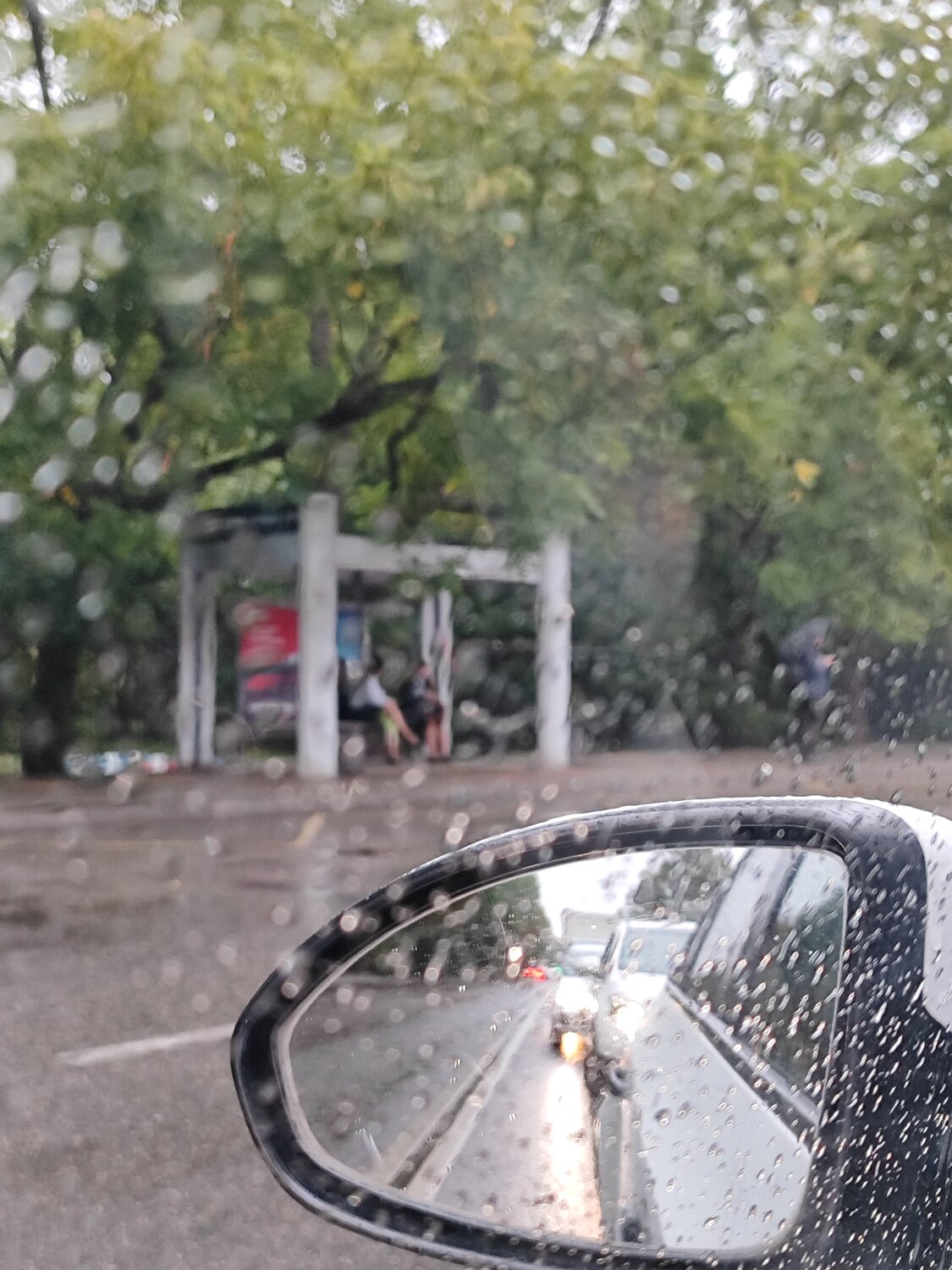 Photo #14230903