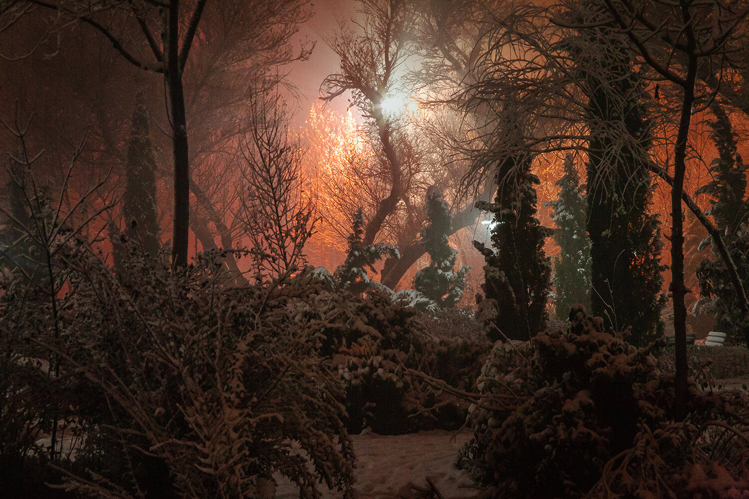 A Winter Night in the Glow