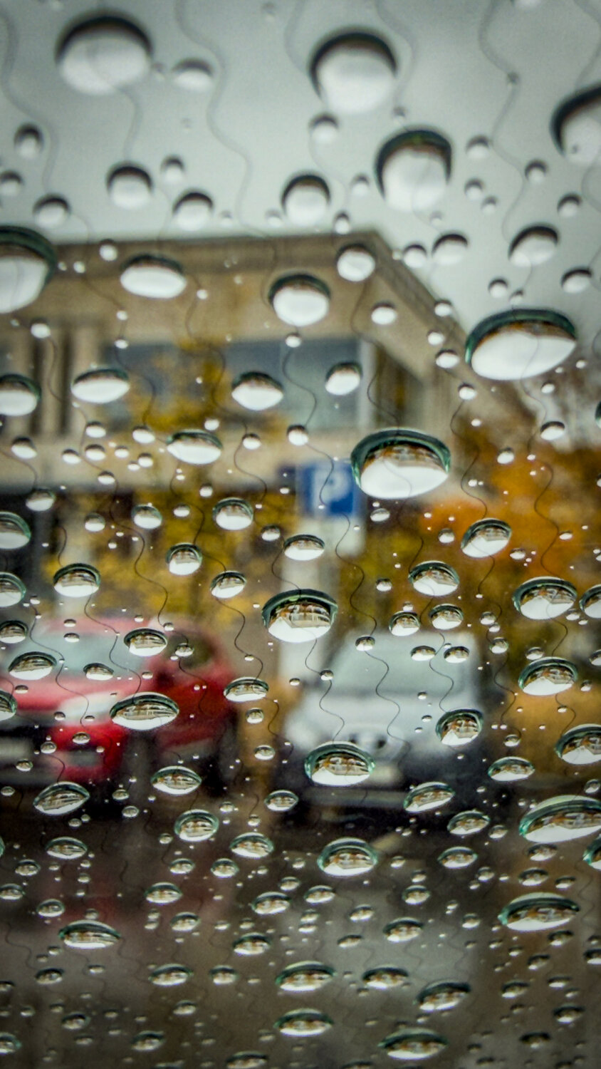Photo #14231468