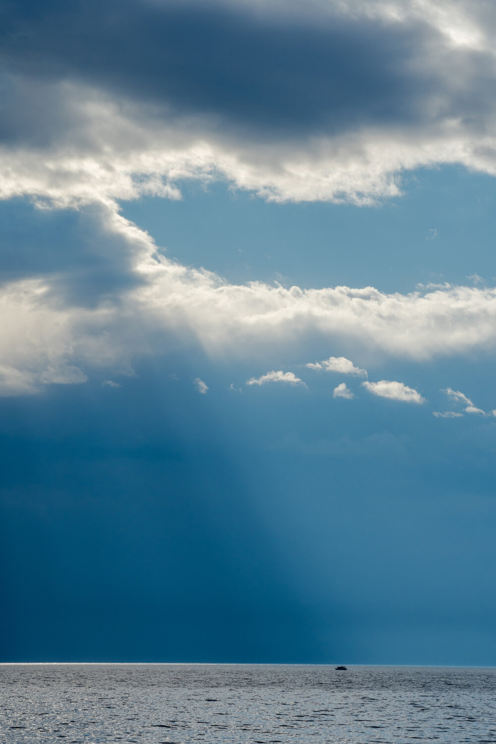 Photo #14231531