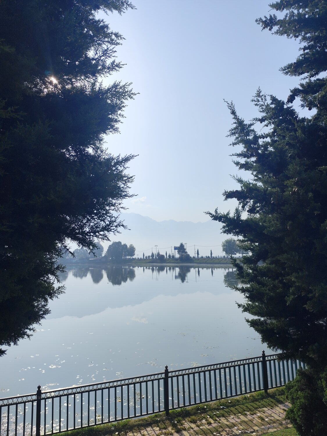 Photo #14231632