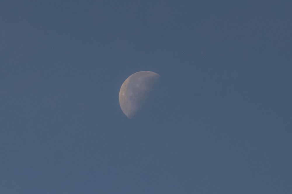 Moon at Dusk