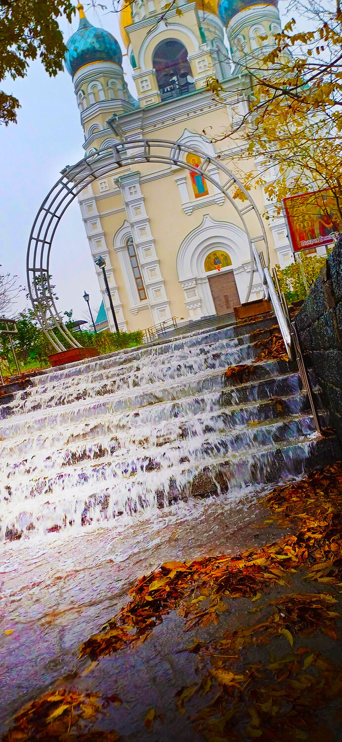 Photo #14231736