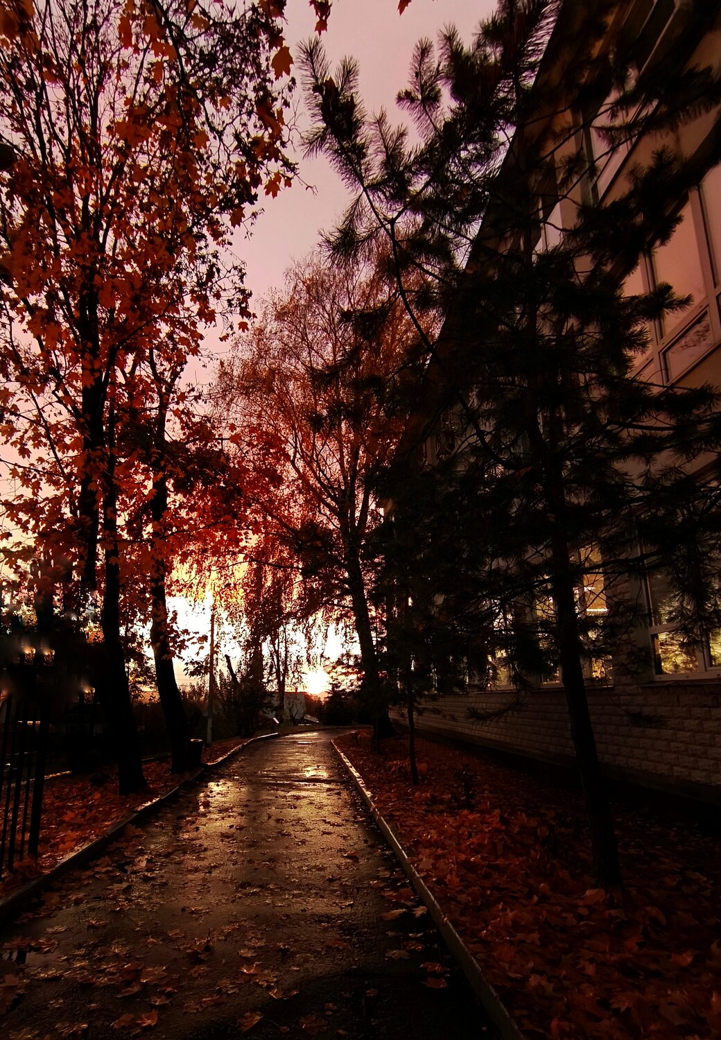 Photo #14232249