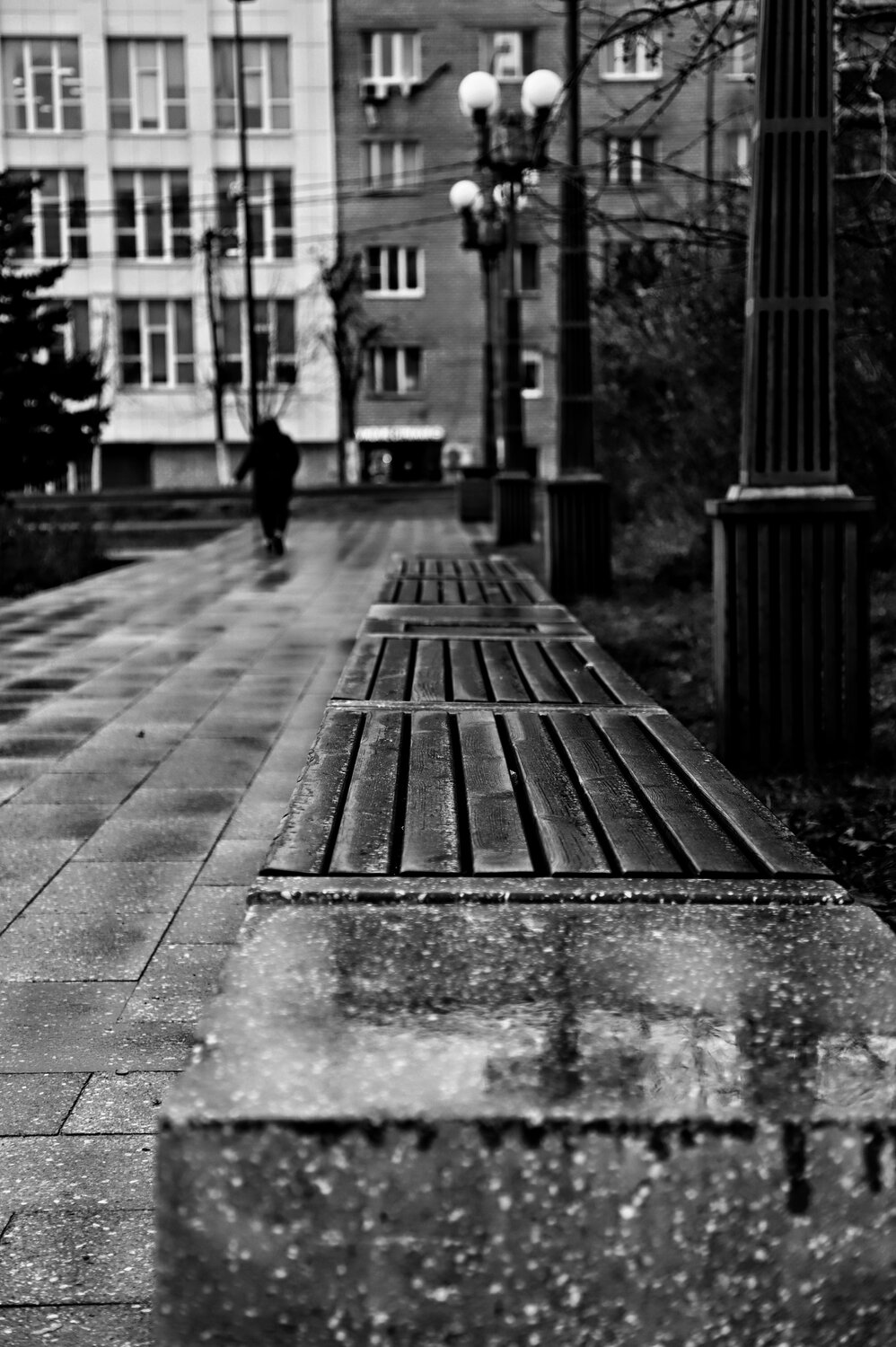 Photo #14232250