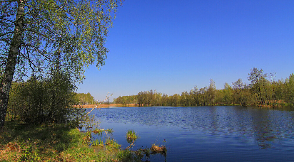 Photograph by Михаил Крюков