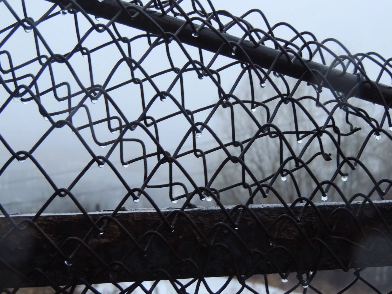 Photo #14232362