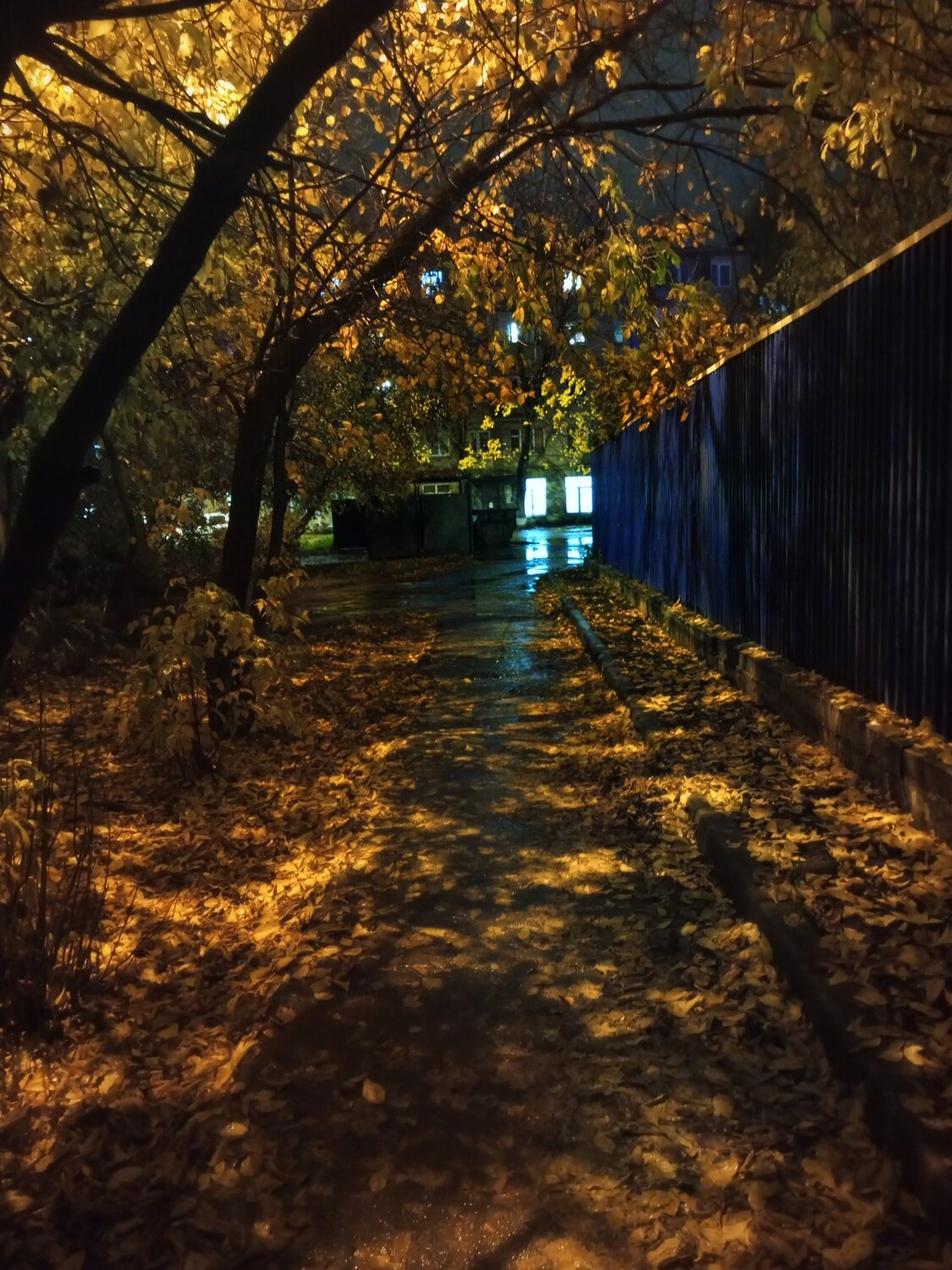 Photo #14232443