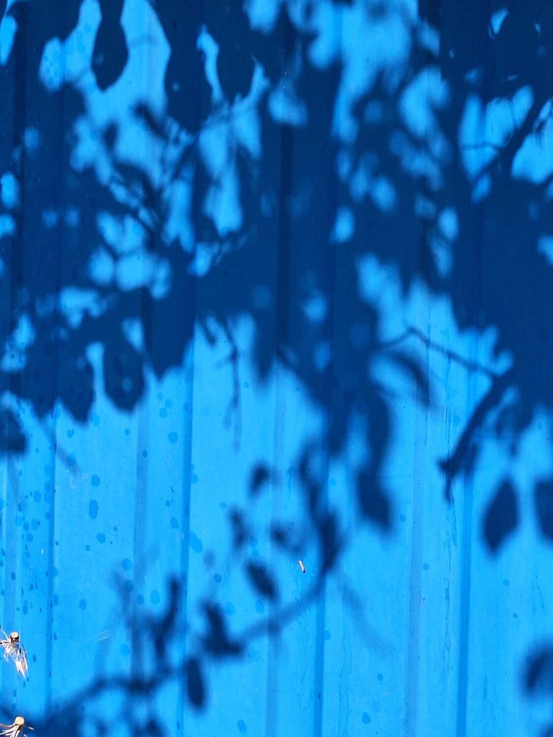 Photo #14232513