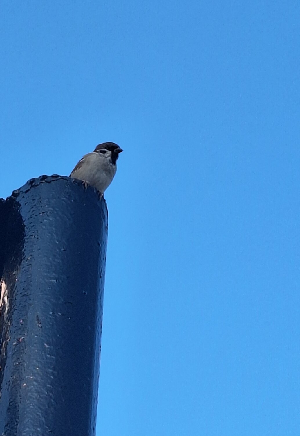 Photo #14232515