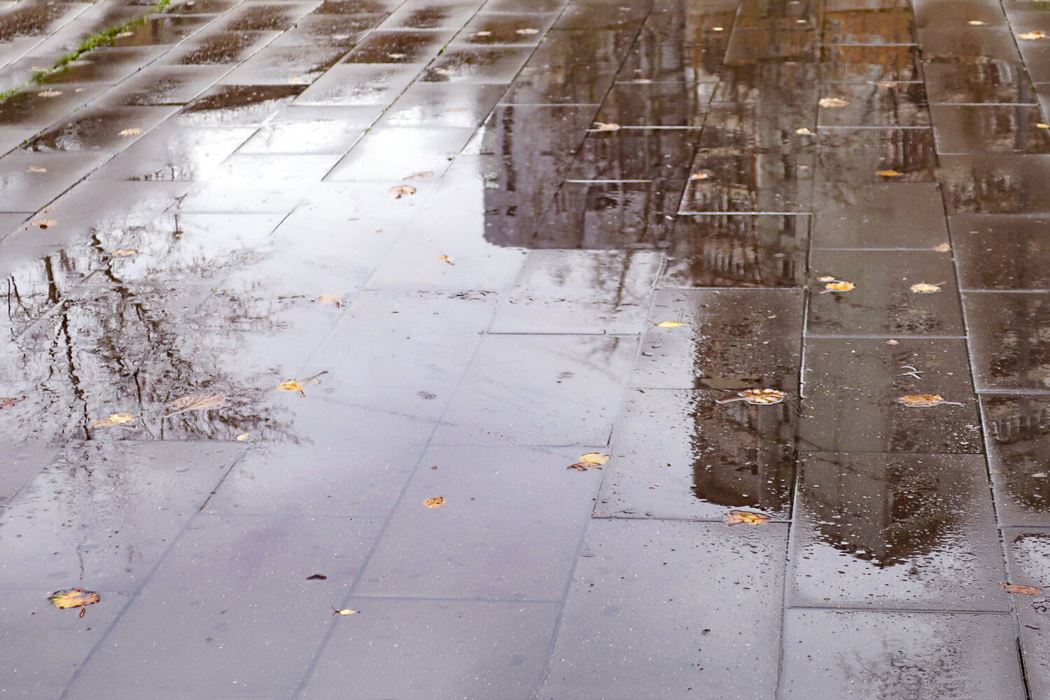 Photo #14232562