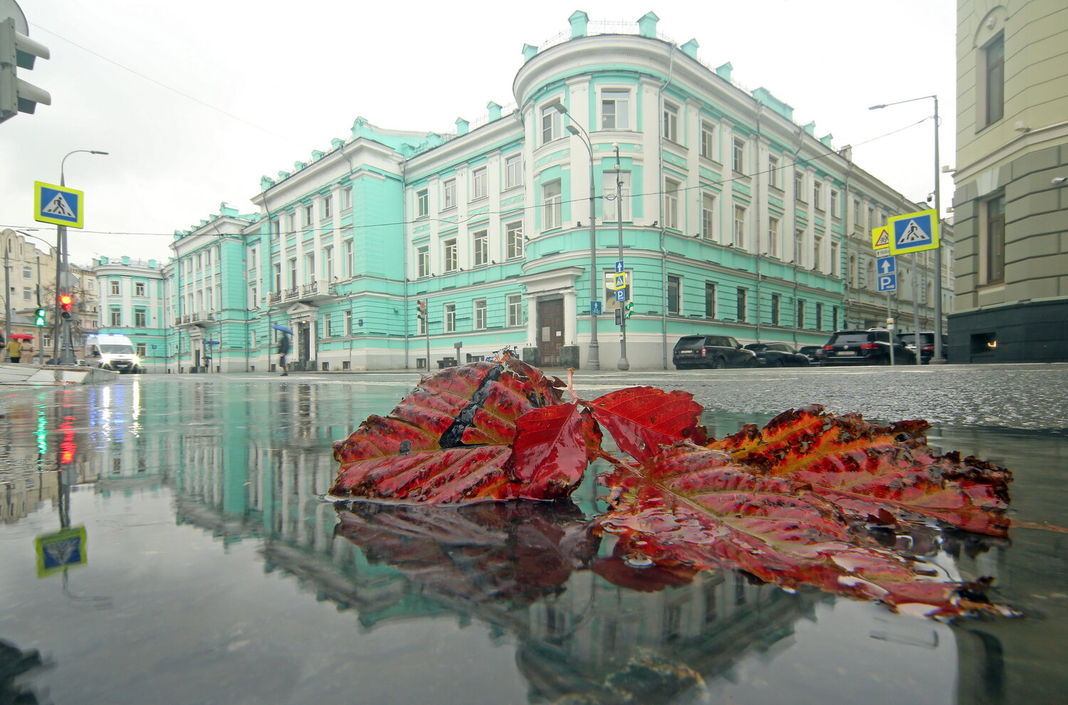 Фотография #14232611